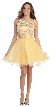 Patterned Sheer Neckline Tulle Short Party Prom Dress — in Gold