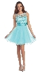 Patterned Sheer Neckline Tulle Short Party Prom Dress