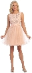 Boat Neck Lace Bust Short Tulle Bridesmaid Party Dress — in Peach