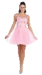 Floral Lace Bust Tulle Short Formal Prom Dress