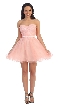 Strapless Lace Bodice Short Tulle Homecoming Party Dress — in Blush