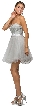 Strapless Lace Bodice Short Tulle Homecoming Party Dress