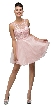 Bejeweled Bust Short Babydoll Homecoming Party Dress — in Blush