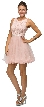 Floral Bust Babydoll Short Tulle Homecoming Party Dress — in Blush