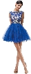 Bejeweled Mesh Bodice Cap Sleeves Short Baby Doll Dress