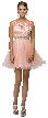 Embroidered Illusion Bodice Short Mesh Homecoming Dress