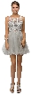 Embroidered Illusion Bodice Short Mesh Homecoming Dress