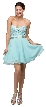 Strapless Lace Bust Short Homecoming Party Dress