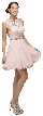 Illusion Sweetheart Neck Short Tulle Homecoming Party Dress — in Blush