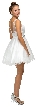 Illusion Sweetheart Neck Short Tulle Homecoming Party Dress — in Off White
