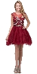 Floral Embroidery Mesh Top Short Tulle Homecoming Dress — in Burgundy