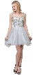 Floral Embroidery Mesh Top Short Tulle Homecoming Dress
