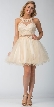 Lace High Neck Top Sheer Waist Babydoll Homecoming Dress