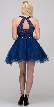 Lace High Neck Top Sheer Waist Babydoll Homecoming Dress — in Navy