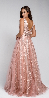 V Neck Vines Pattern Tulle Prom Gown — back view