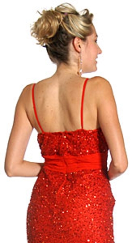 Shimmer Spaghetti Strap Formal Dress with Brooch — back view