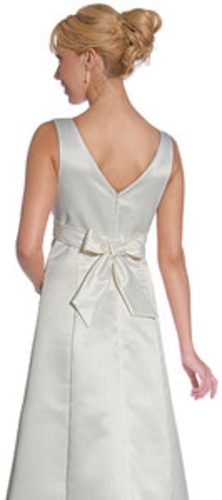 Empire Cut Overlap Back Bow Dress — back view