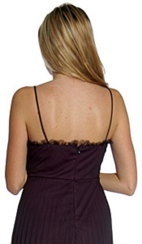 Empire Cut English Net Formal Dress — back view