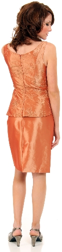Embroidered Knee Length Cocktail Party Dress — back view