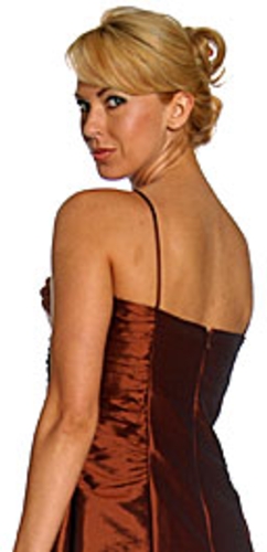 Spaghetti Straps Ruched Taffeta Short Party Dress — back view