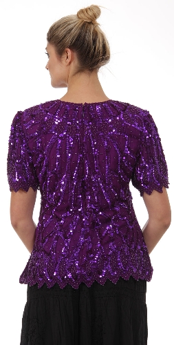 Round Neck Half Sleeves Sequined Blouse — back view