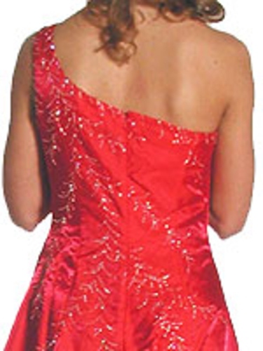 One Shouldered Stem Beaded Dress — back view