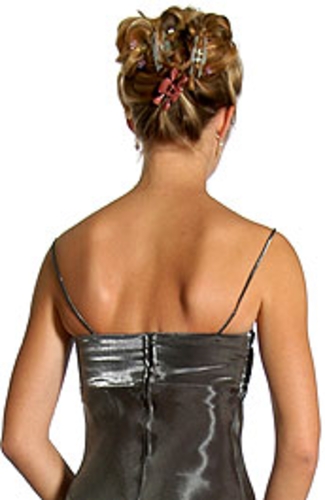 Empire Style Embroidered Evening Dress — back view