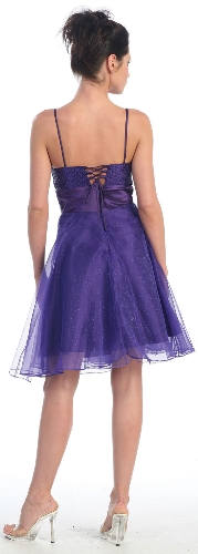 Sequin Bodice Crystal Mesh Skirt Short Party Dress — back view