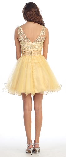 Patterned Sheer Neckline Tulle Short Party Prom Dress — back view