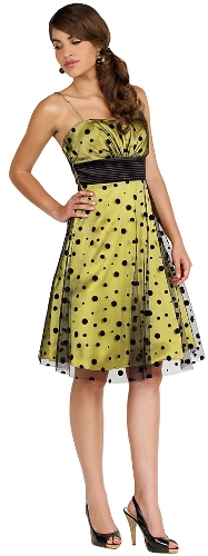 Polka Dot Mesh Party Dress