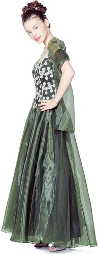 A-Line Lace Dress