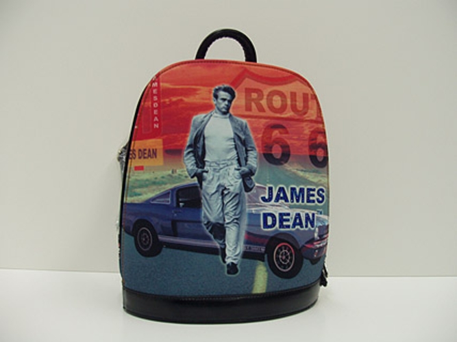 Picture Bag