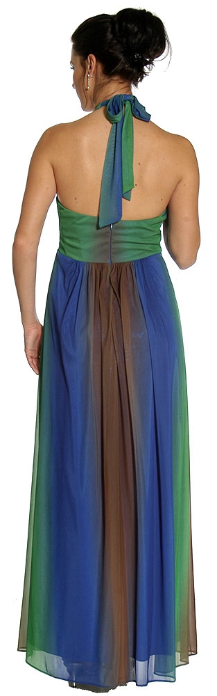 Multi Colored Halter Neck Formal Evening Dress  — back