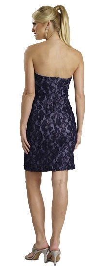 Strapless Lace Party Dress — back