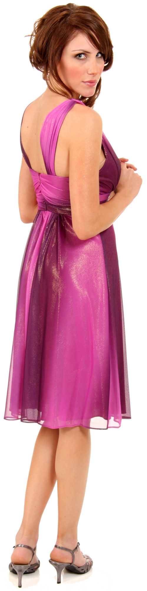 Two Tone V-Neck Shimmery Party Dress — back