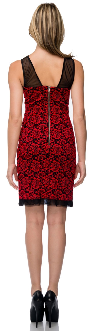 Floral Lace Short Party Dress with Mesh Trim — back