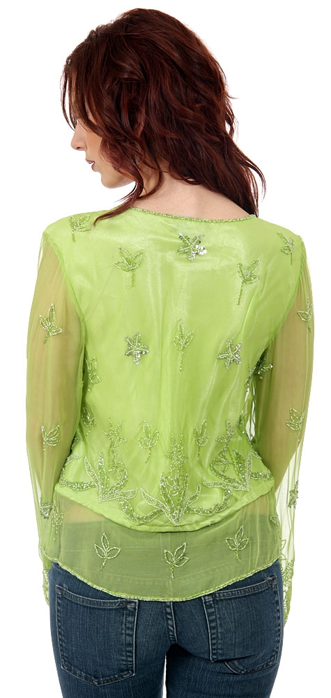 Full Sleeves Sheer Top with Silver Petal Sequins — back