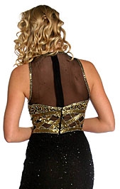 Bustier Transparent Full Length Gown — back