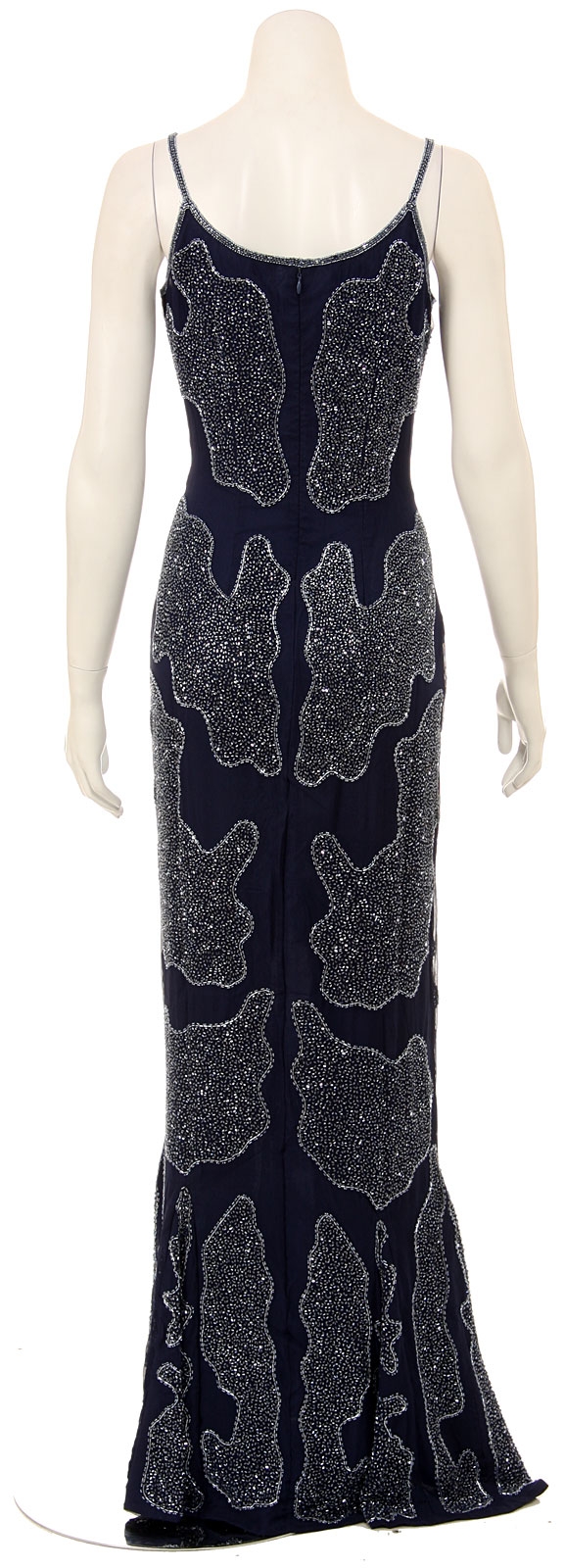 Watermark Floor Length Formal Dress — back