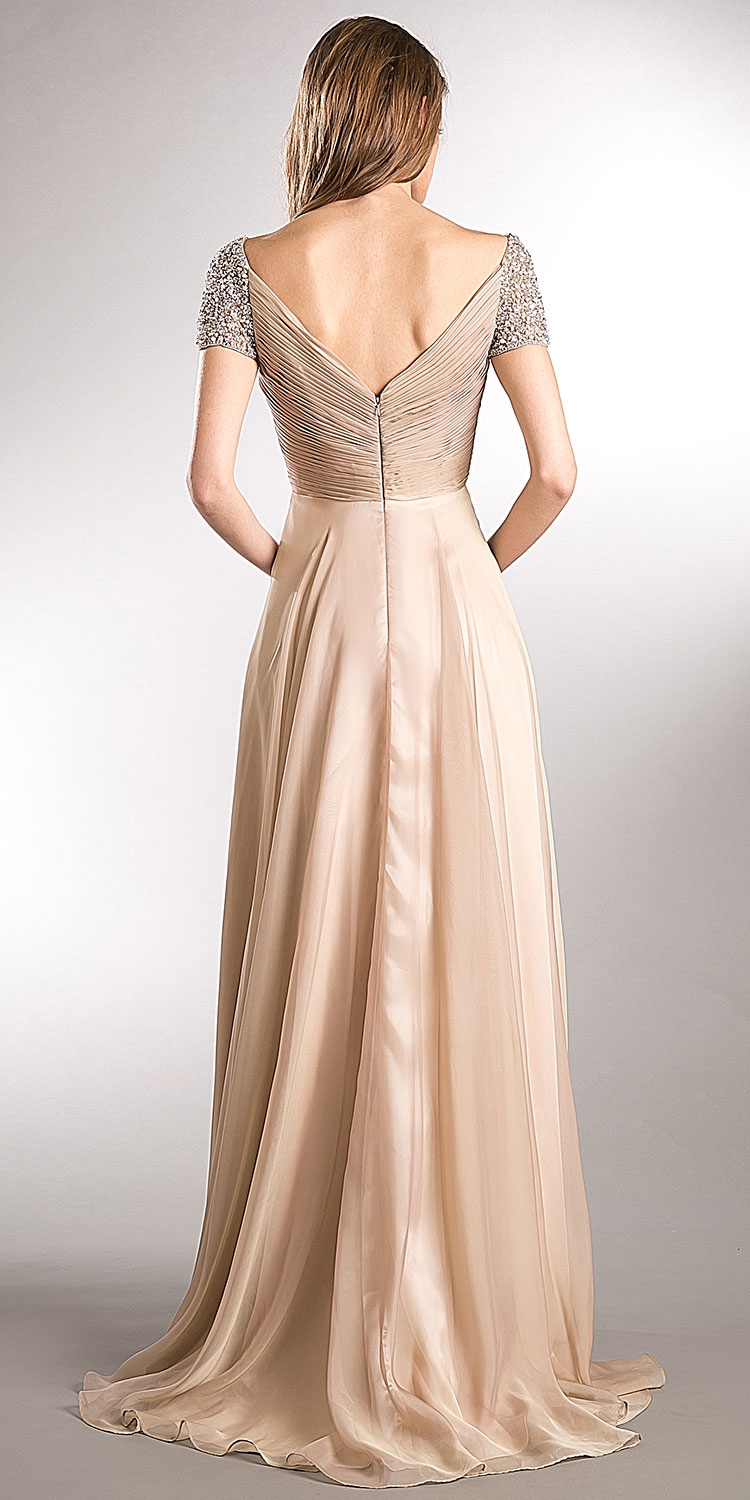 Bejeweled Sleeves Pleated Bust Long Formal Evening Dress — back in Champaign