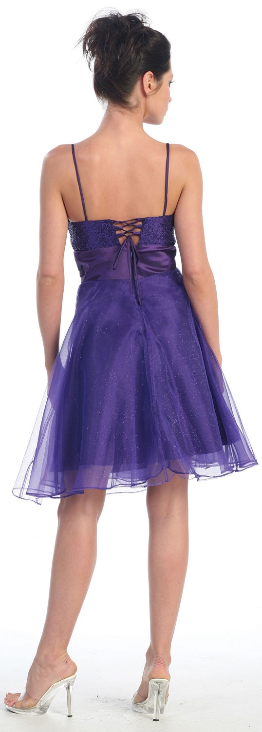 Sequin Bodice Crystal Mesh Skirt Short Party Dress — back