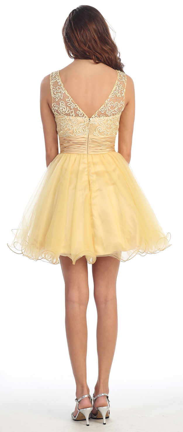 Patterned Sheer Neckline Tulle Short Party Prom Dress — back