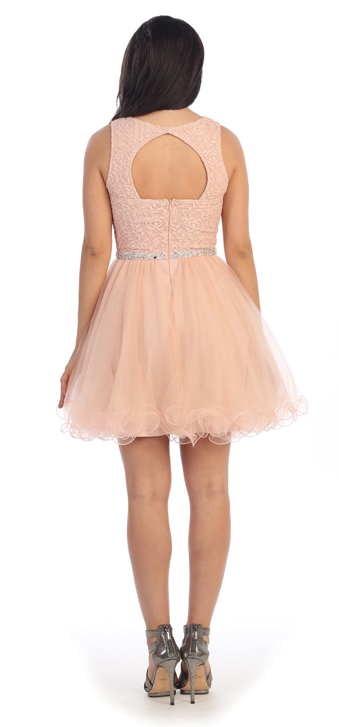 Floral Bust Babydoll Short Tulle Homecoming Party Dress — back in Blush