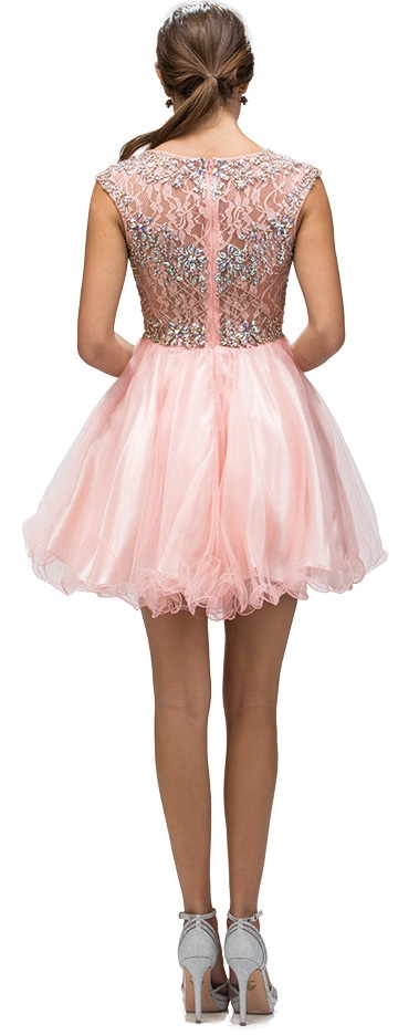 Bejeweled Mesh Bodice Cap Sleeves Short Baby Doll Dress — back