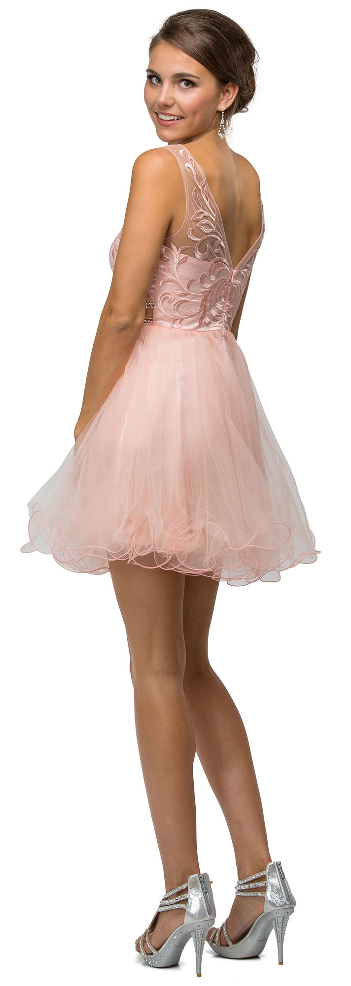 Embroidered Illusion Bodice Short Mesh Homecoming Dress — back