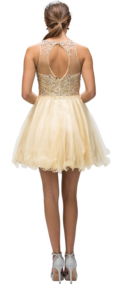 Beaded Bust Tulle Skirt Short Homecoming Party Dress — back