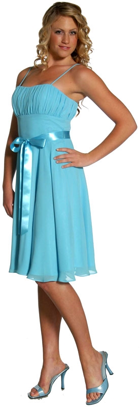 Tea Length Ribbon Party Dress