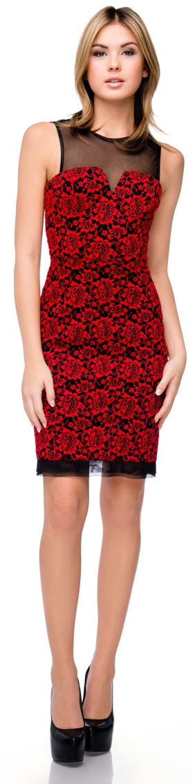 Floral Lace Short Party Dress with Mesh Trim