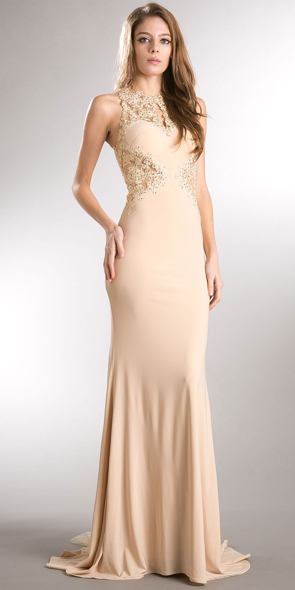 Beaded Lace & Mesh Bodice Long Prom Pageant Dress — in Champaign