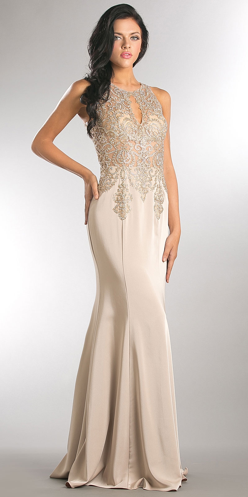 Exquisite Lace Bodice Long Formal Evening Dress — in Champaign